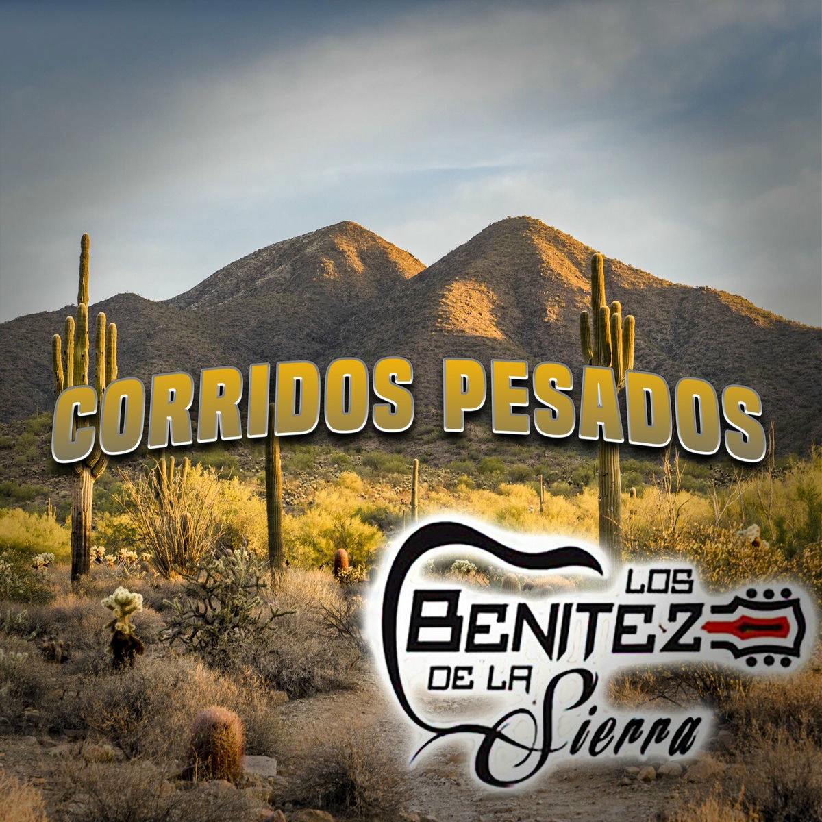 Album cover of Corridos Pesados