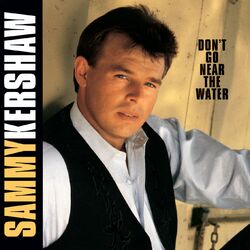 Cover of Don't Go Near The Water