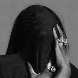 Cover of Never Enough