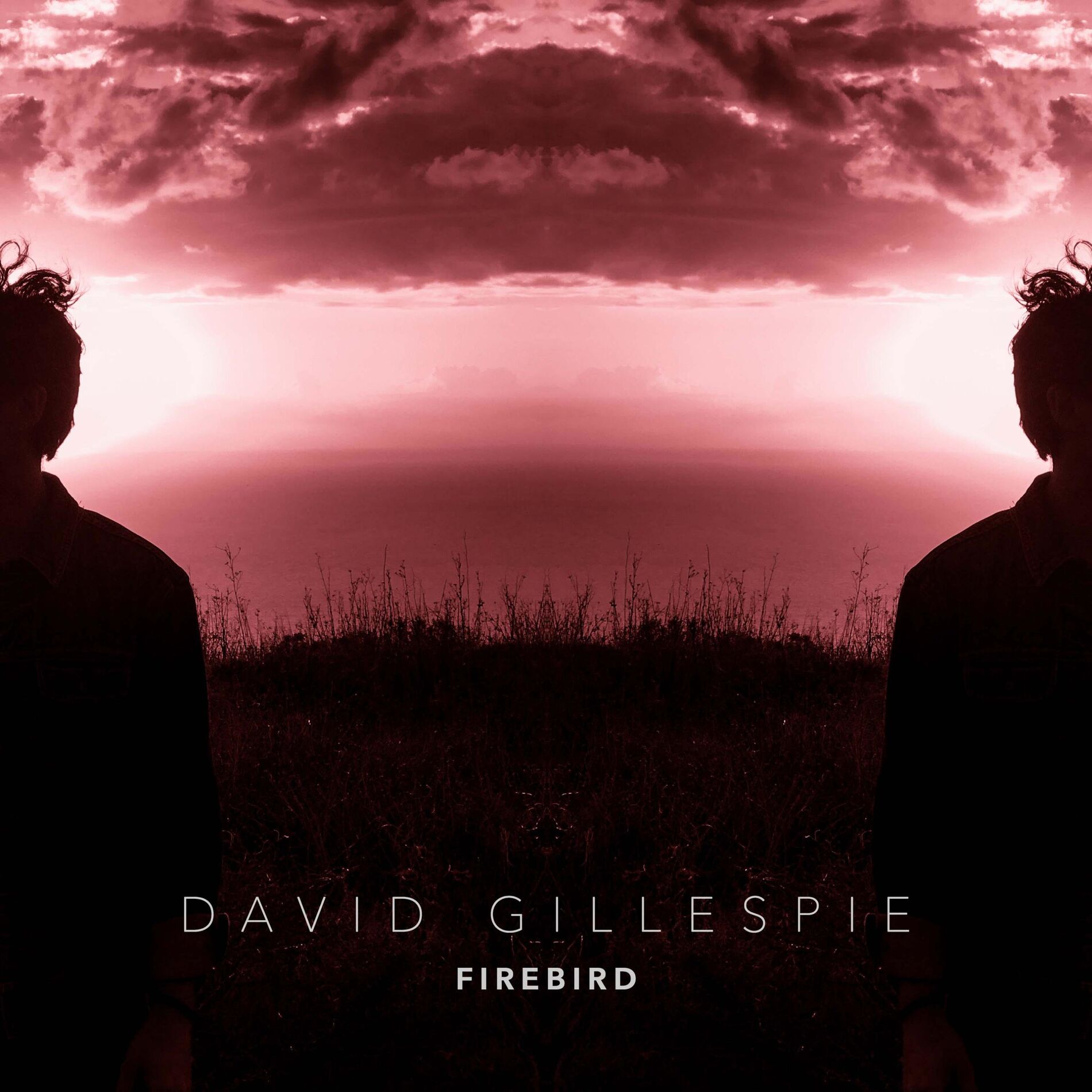 Album cover of Firebird