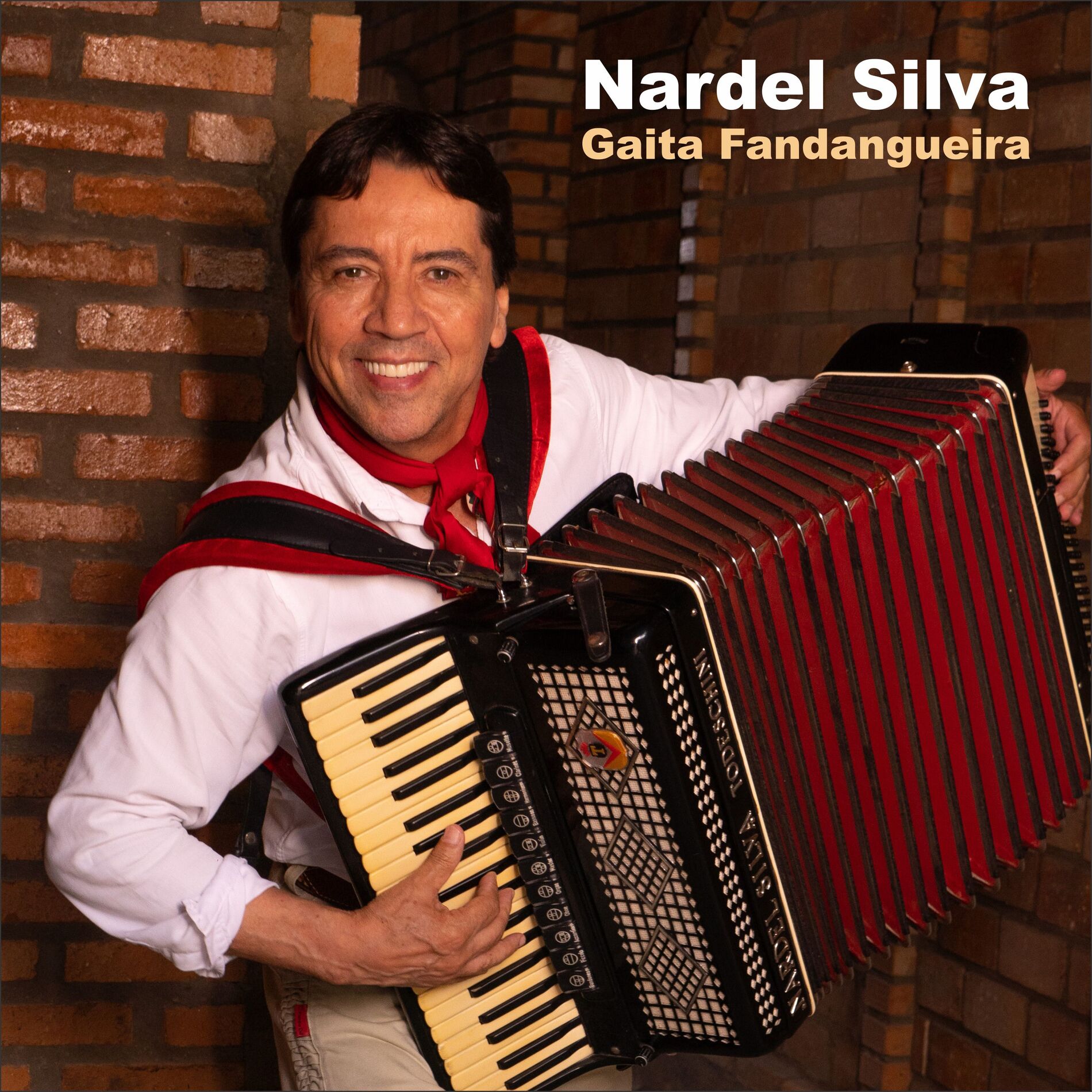 Album cover of Gaita Fandangueira