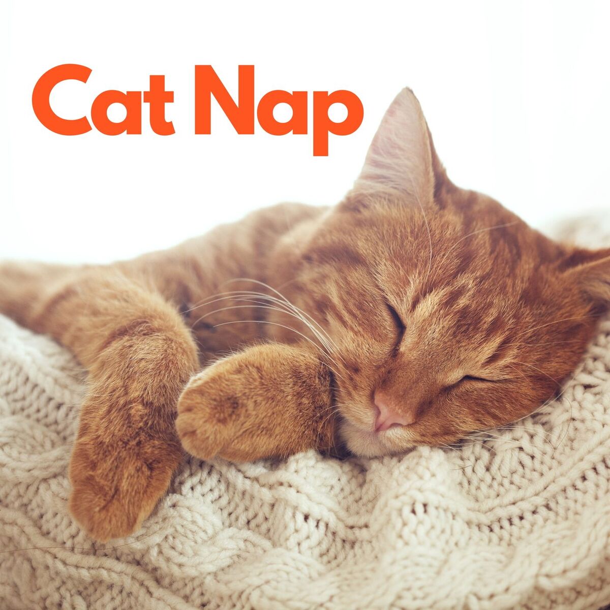 Album cover of Cat Nap