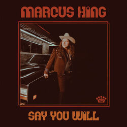 Cover of Say You Will