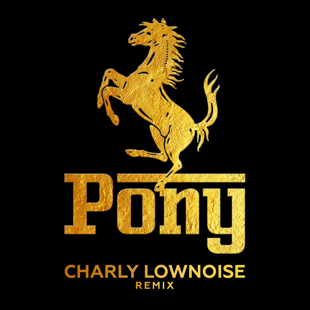 Picture of Pony (Charly Lownoise Remix)