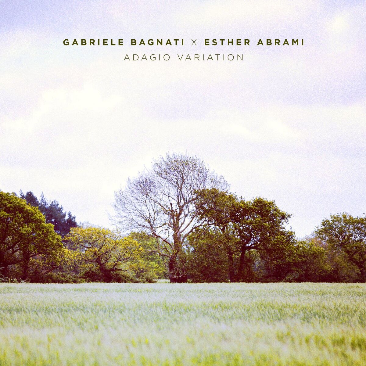 Album cover of Adagio Variation (From Adagio in G Minor, Arr. for Violin and Piano by Svetoslav Karparov)