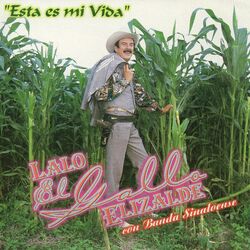 Cover of Esta Es Mi Vida