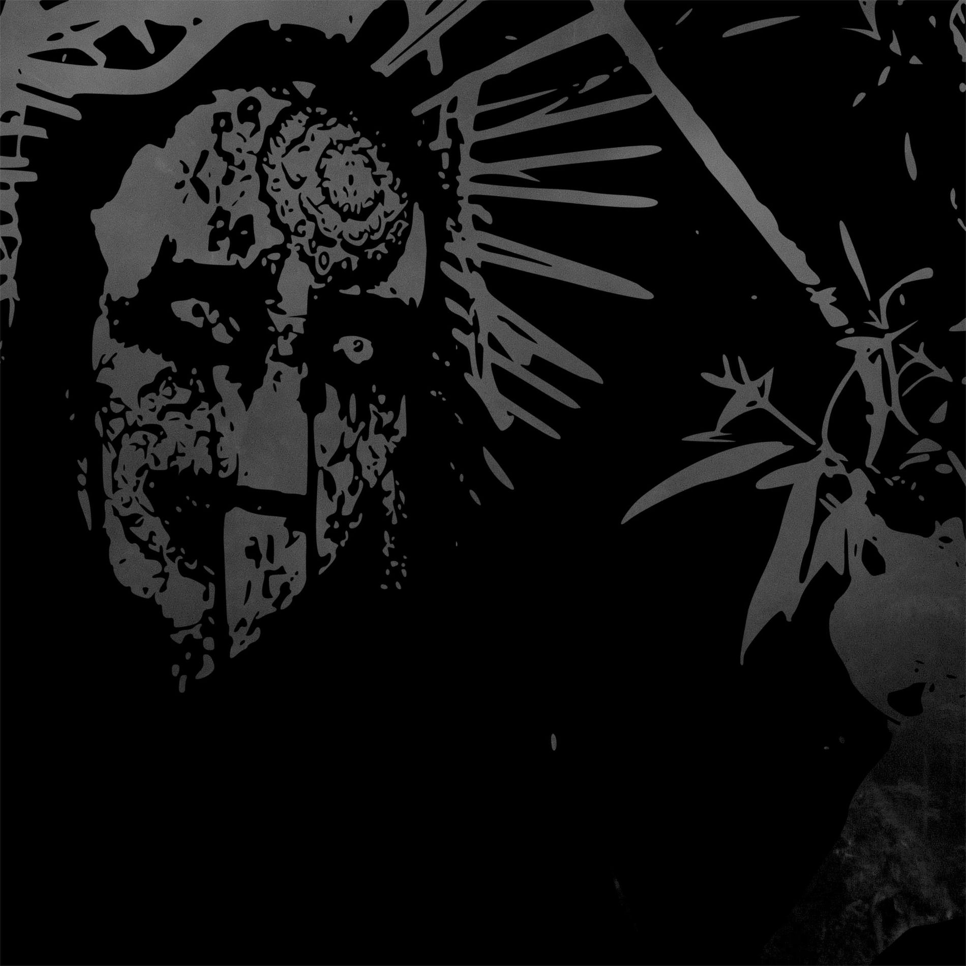 Album cover of Achlýs