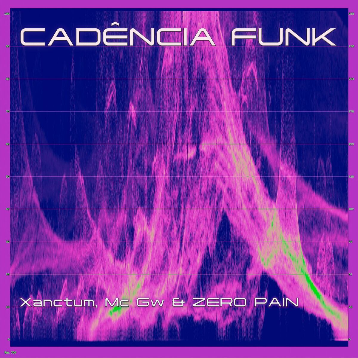 Album cover of Cadência Funk