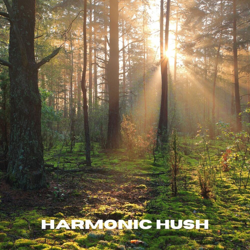 Picture of Harmonic Hush