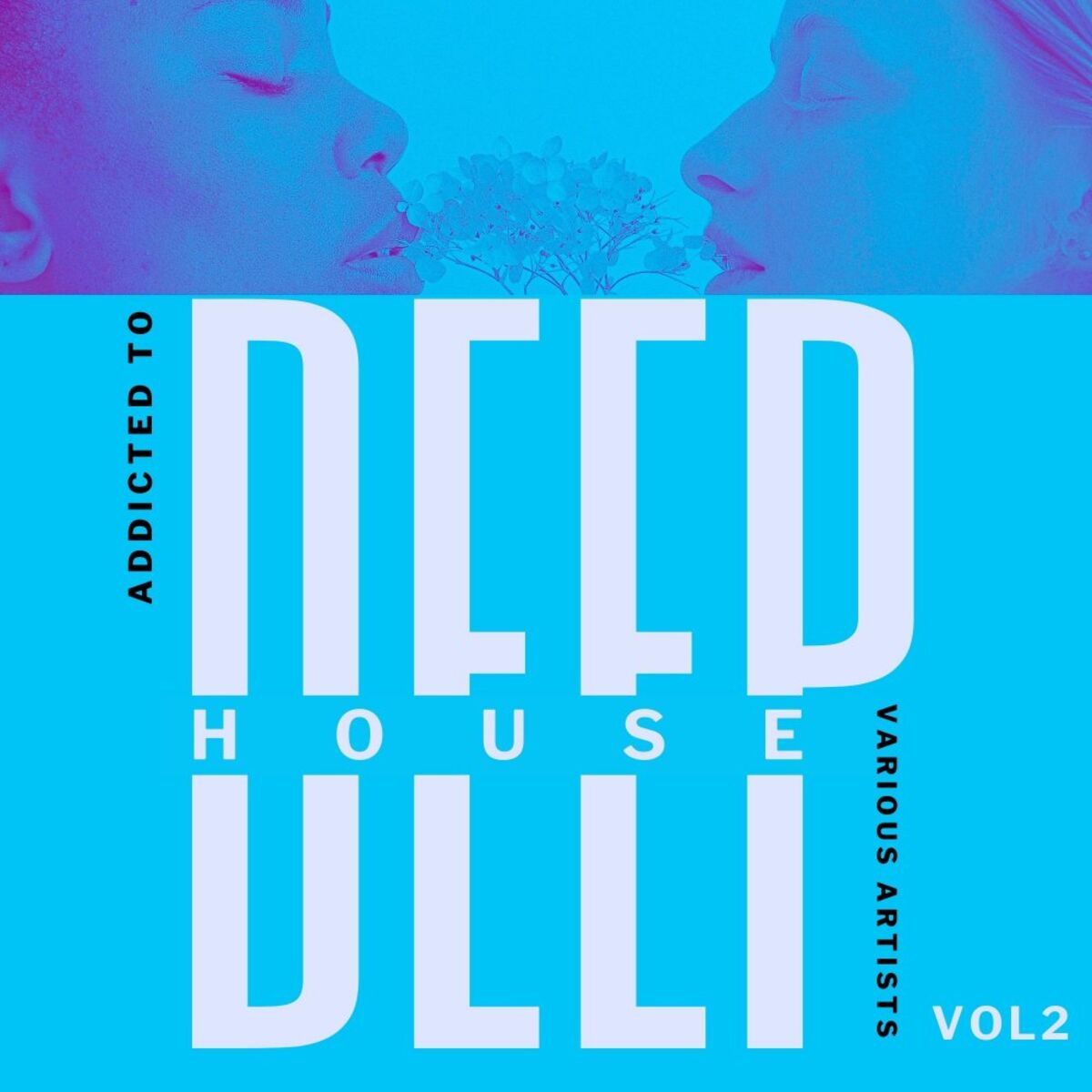 Album cover of Addicted To Deep-House, Vol. 2