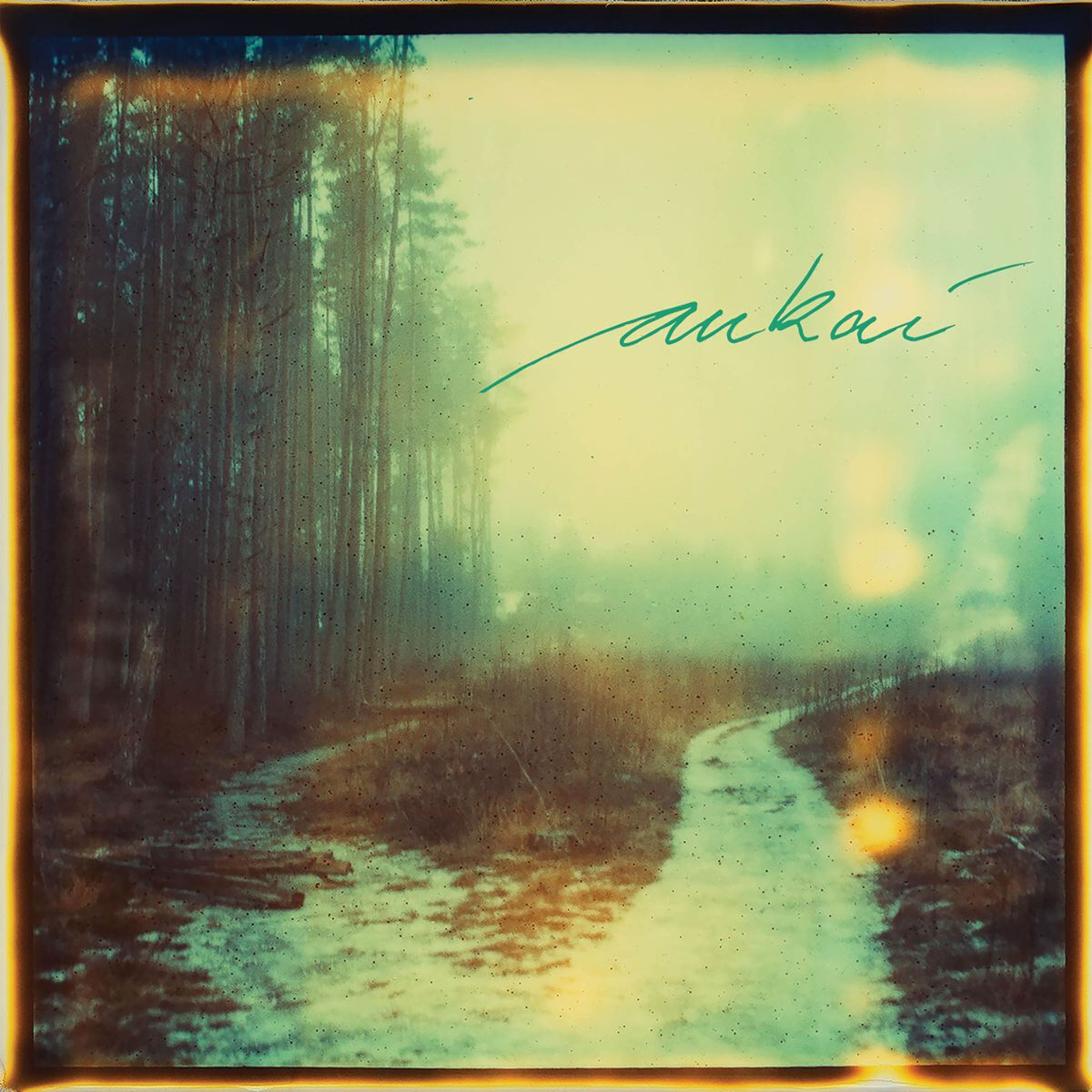 Album cover of Alto Paraíso