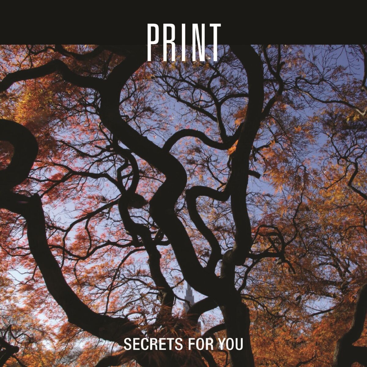 Album cover of Secrets for You