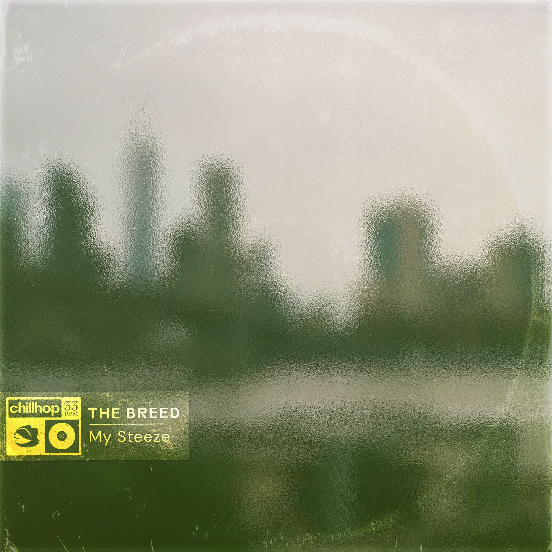 Album cover of My Steeze