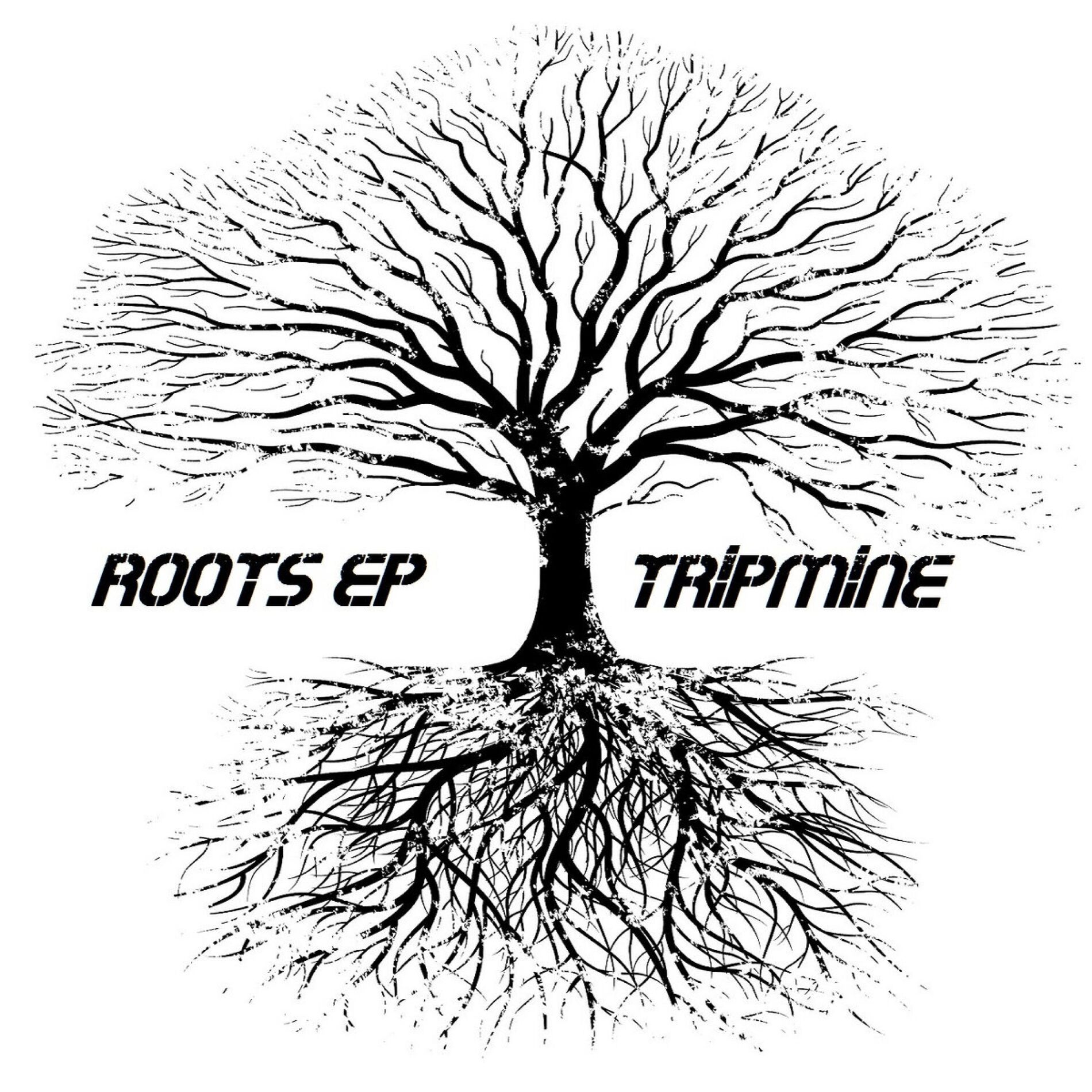 Album cover of Roots