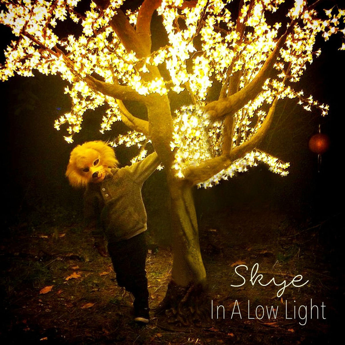 Album cover of In a Low Light