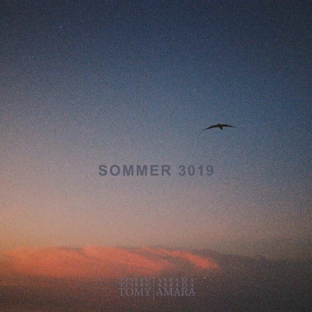 Picture of Sommer 3019