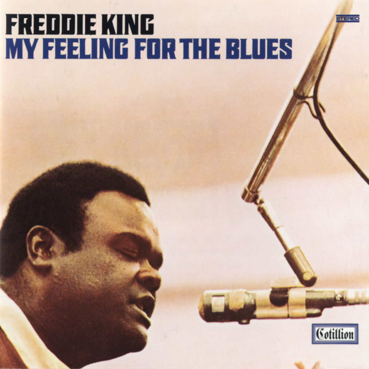Album cover of My Feeling For the Blues