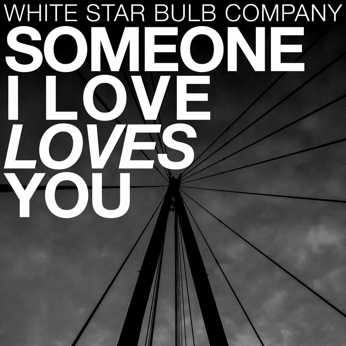 Album cover of Someone I Love Loves You