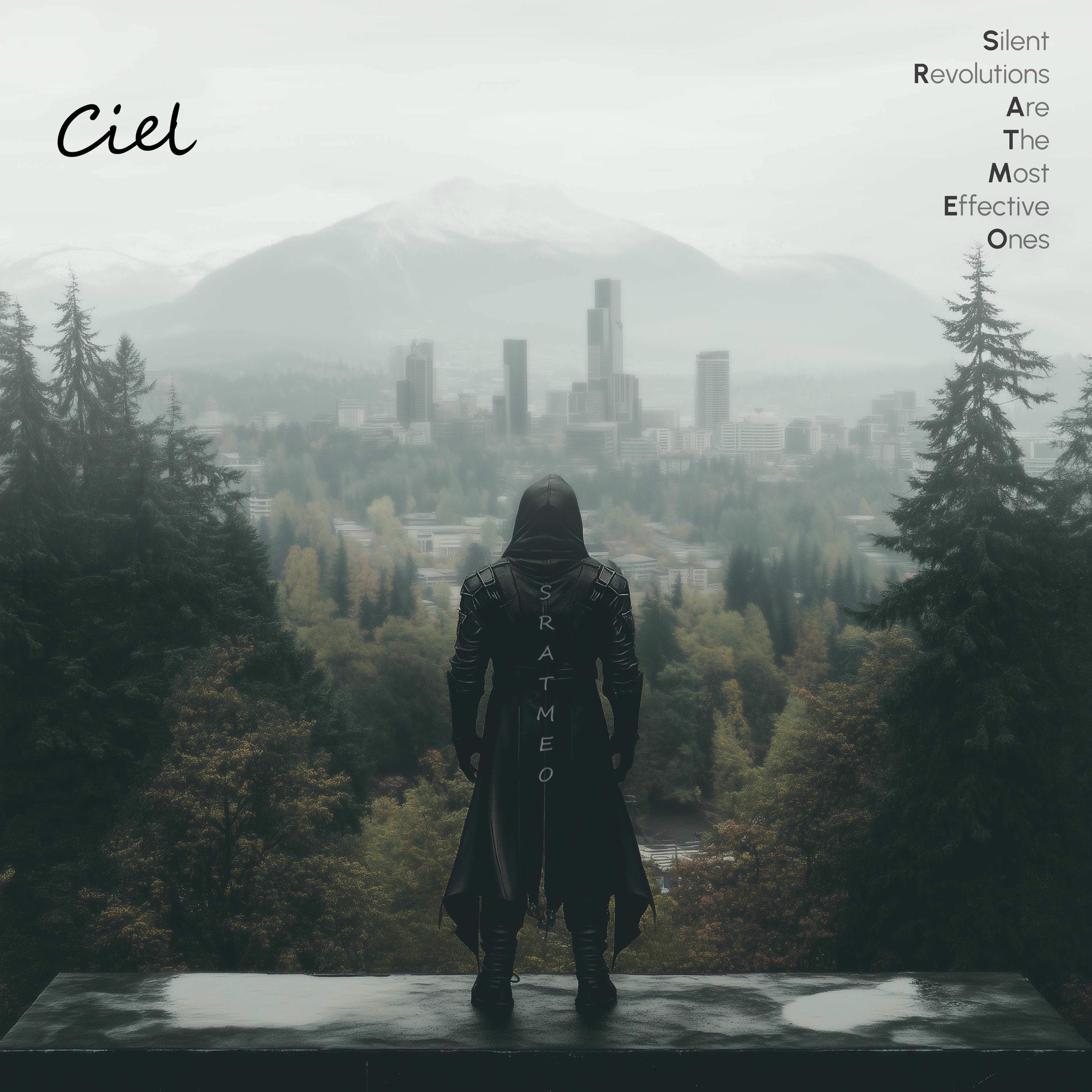 Album cover of S.R.A.T.M.E.O.