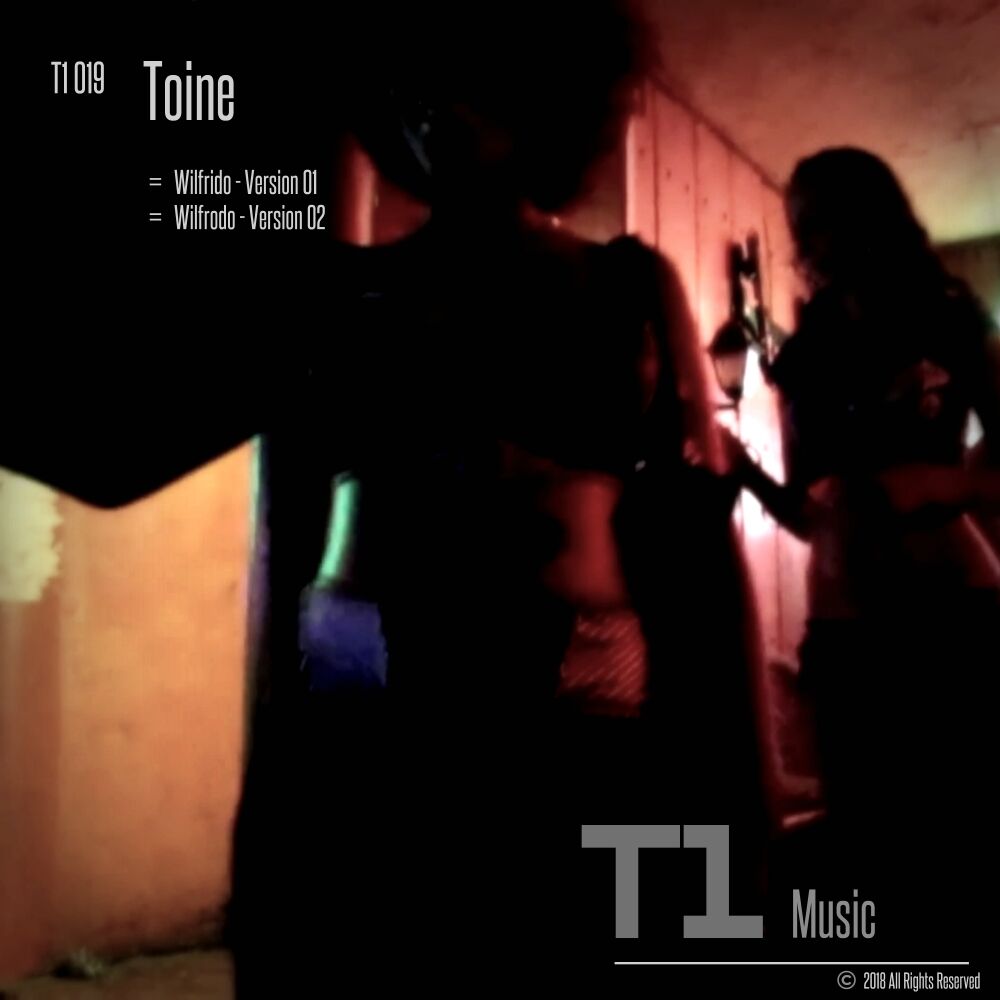 Picture of T1 019