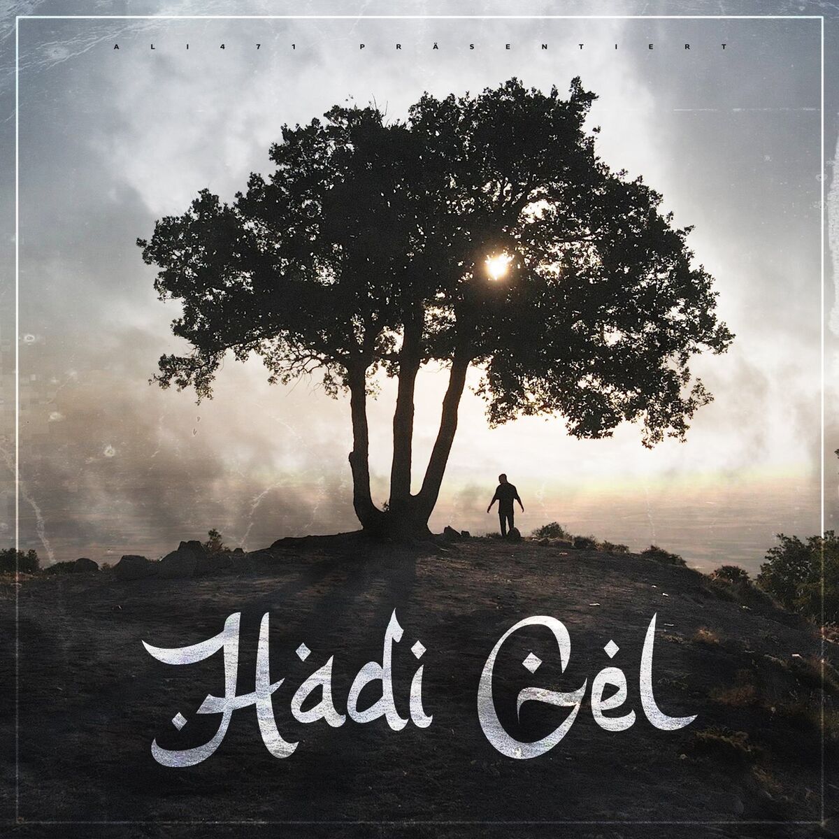 Album cover of Hadi Gel