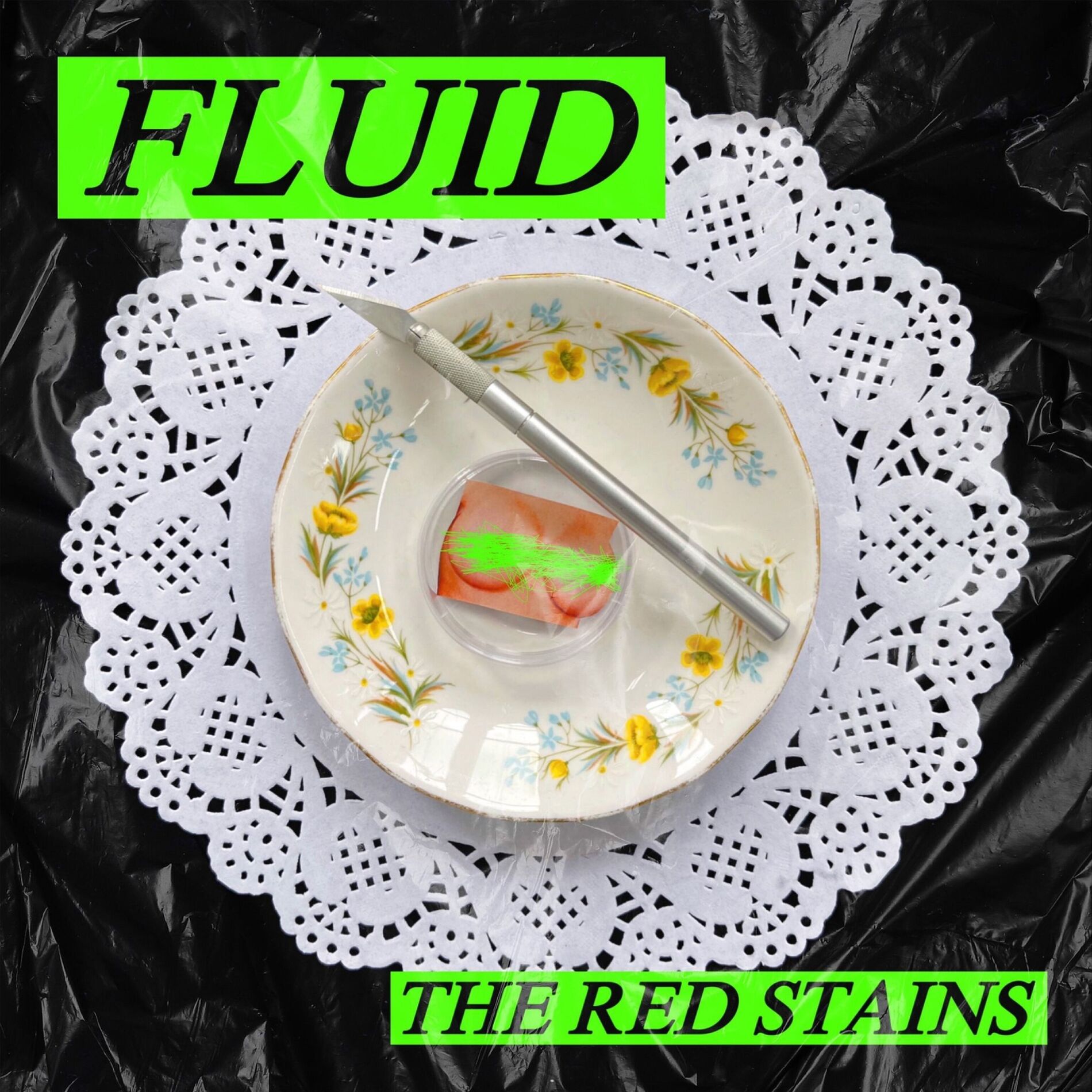 Album cover of Fluid