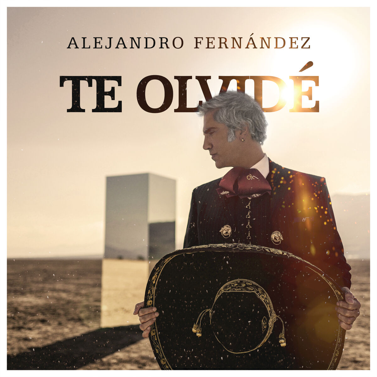 Album cover of Te Olvidé