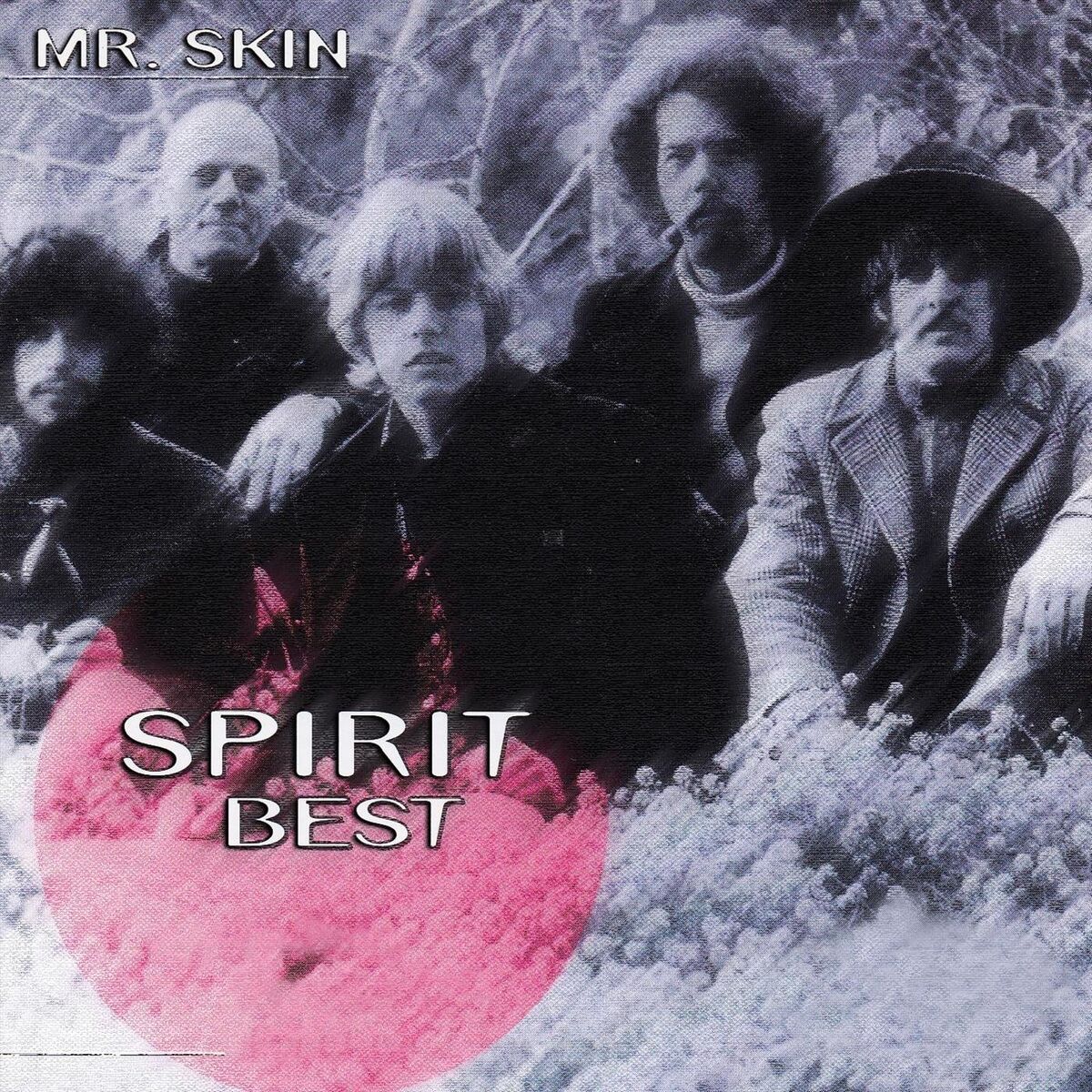 Album cover of Mr. Skin - Spirit Best