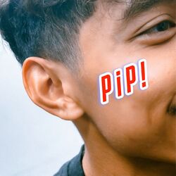 Cover of PIPI