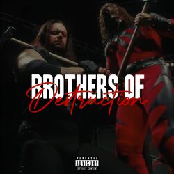 Cover of Brothers of Destruction!