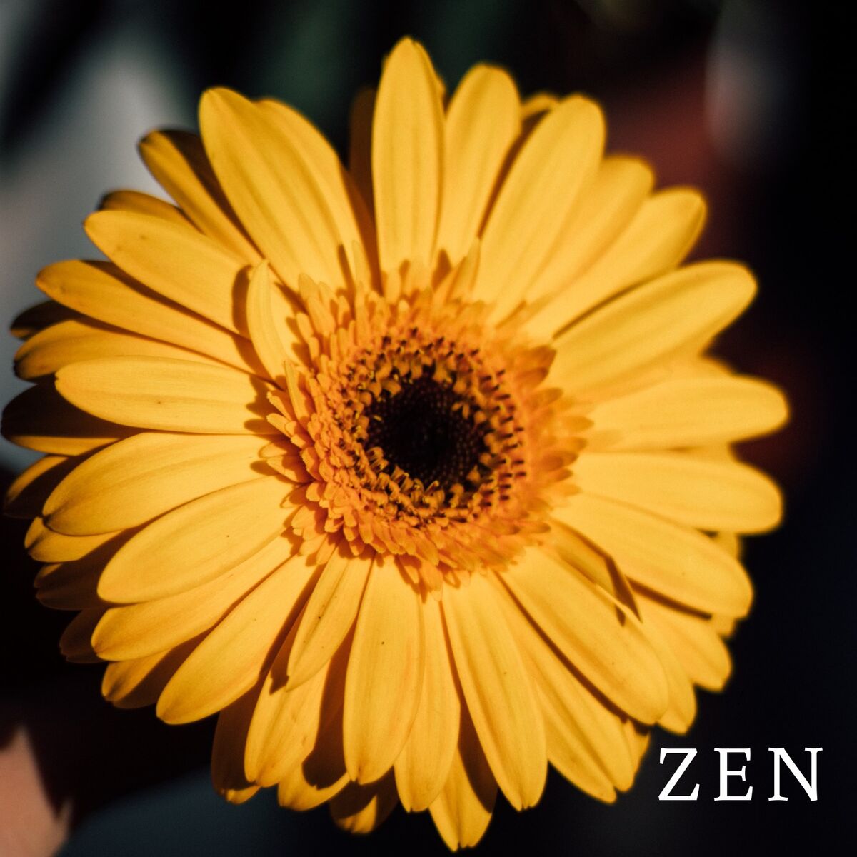 Album cover of Zen