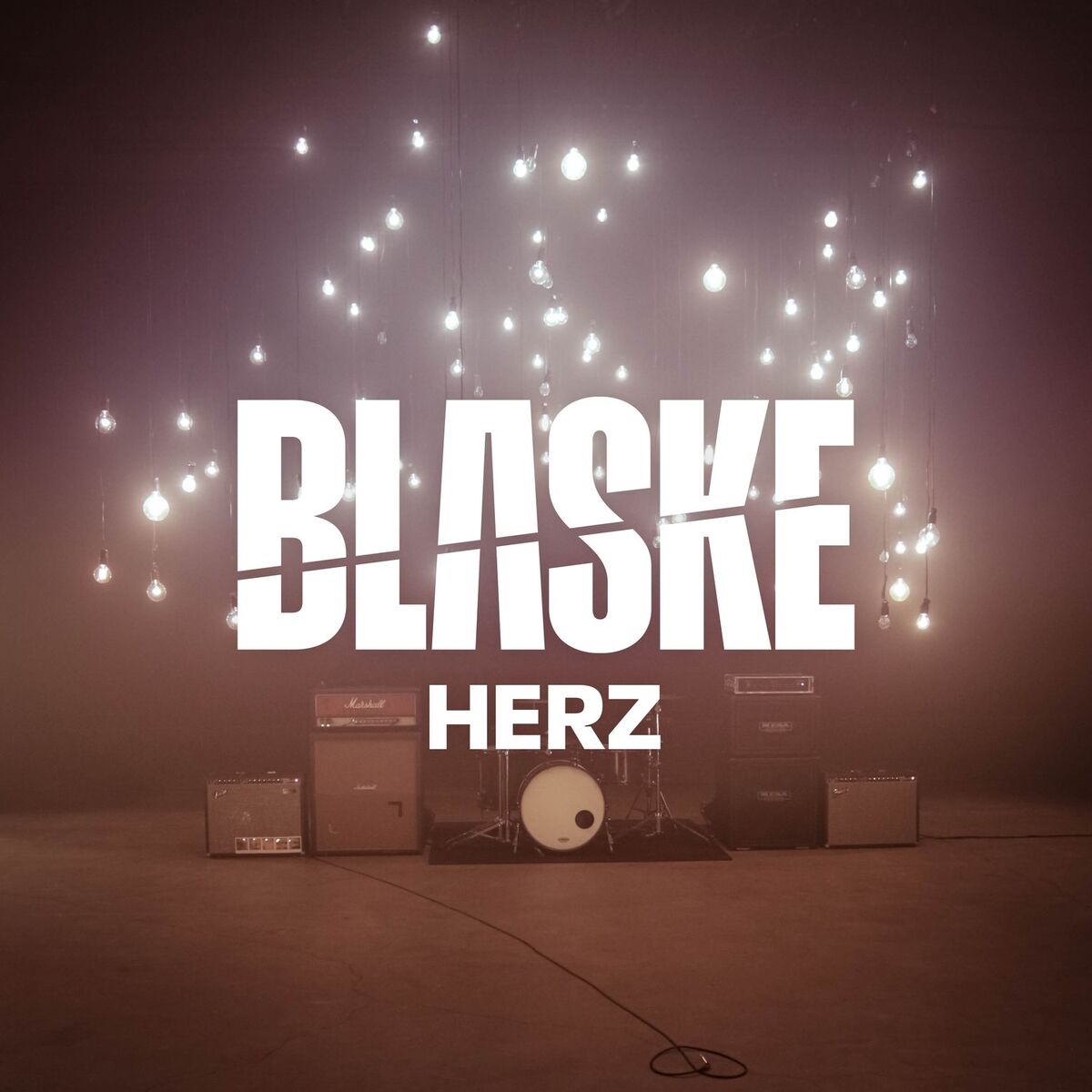 Herz cover