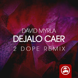 Cover of Dejalo Caer
