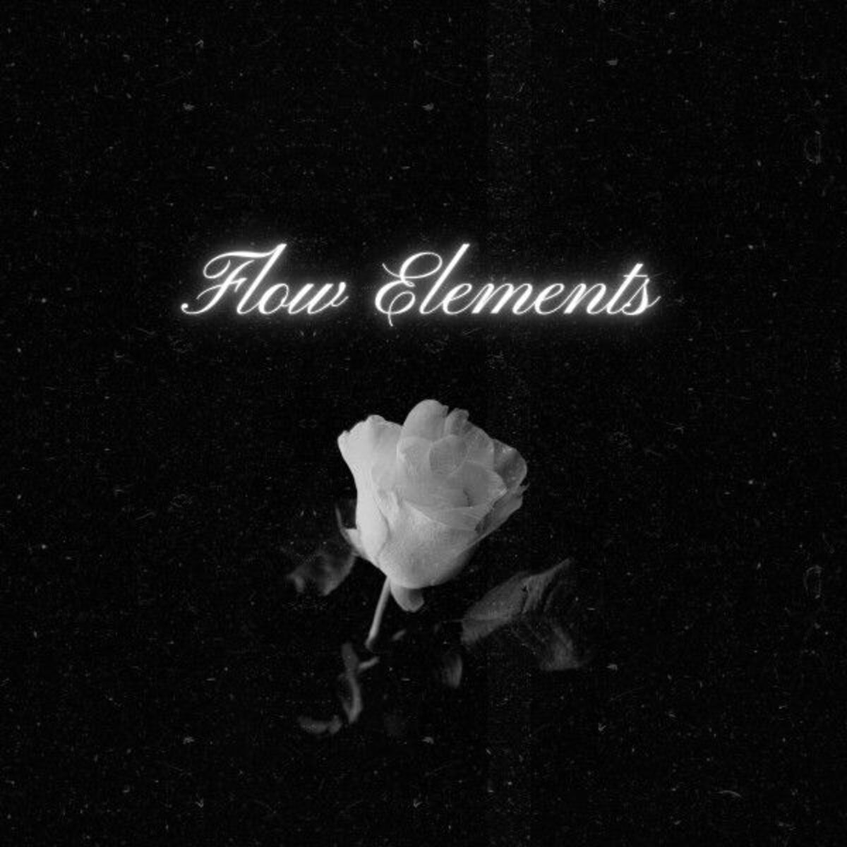 Album cover of Flow Elements