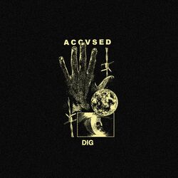 Cover of Dig
