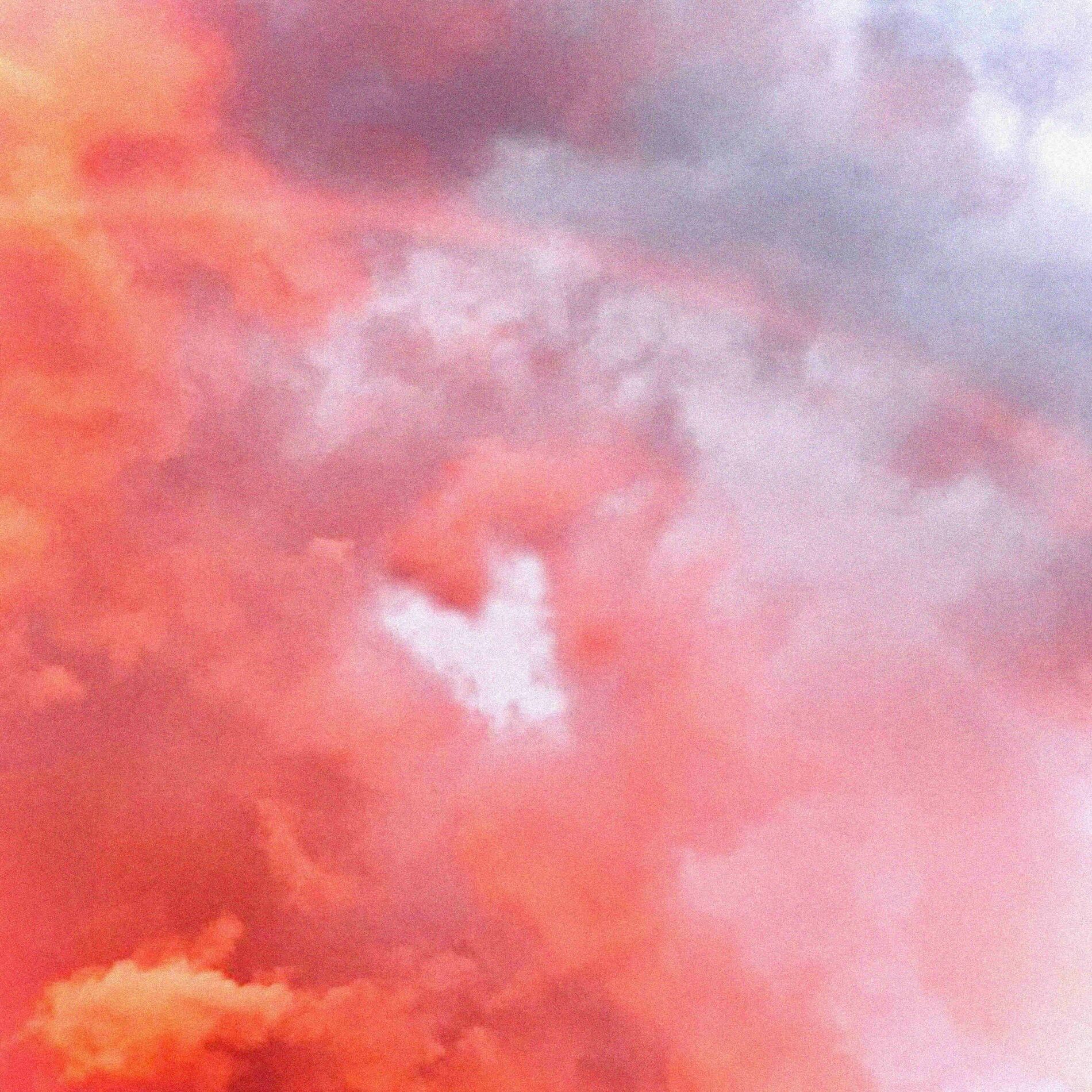 Album cover of WOLKE808