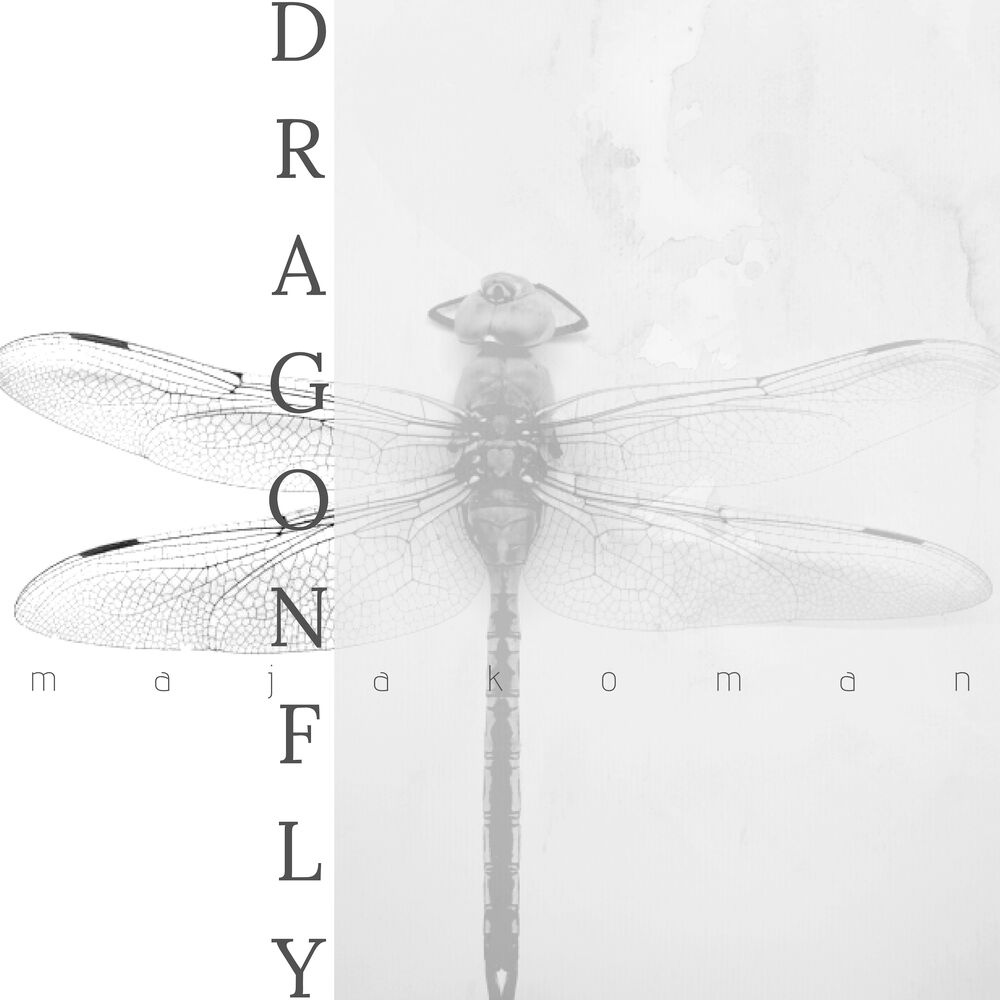 Picture of Dragonfly