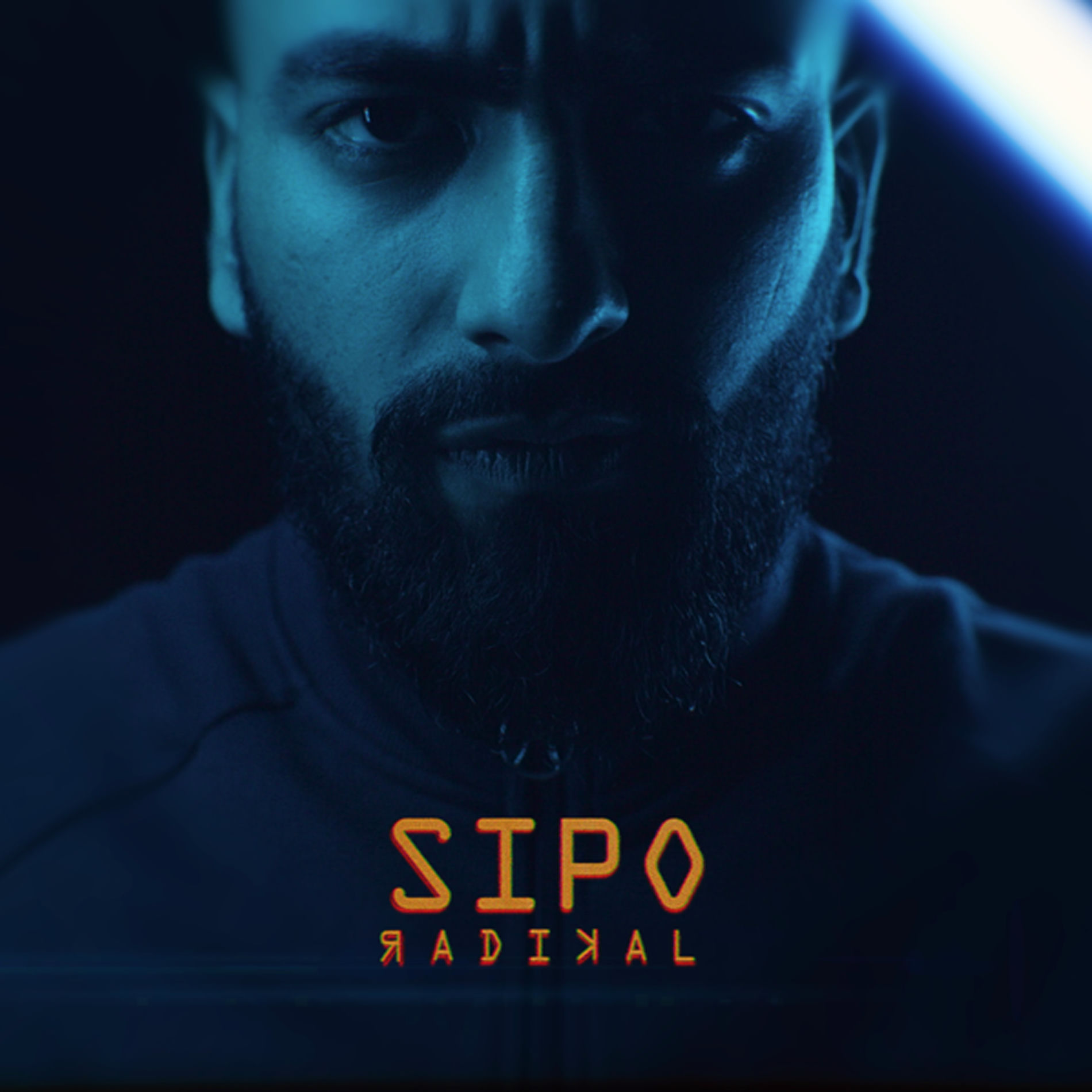 Album cover of Radikal