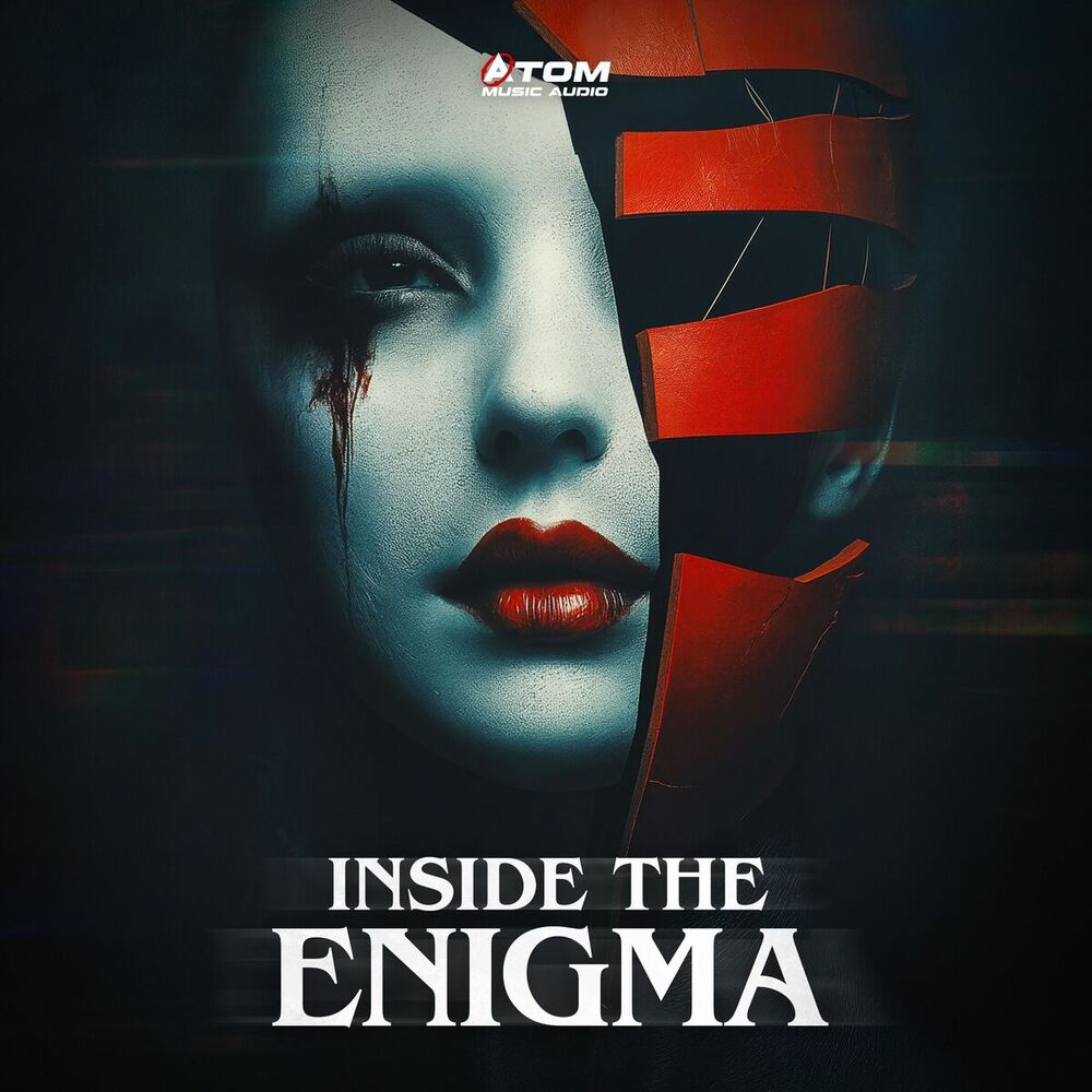 Picture of Inside the Enigma
