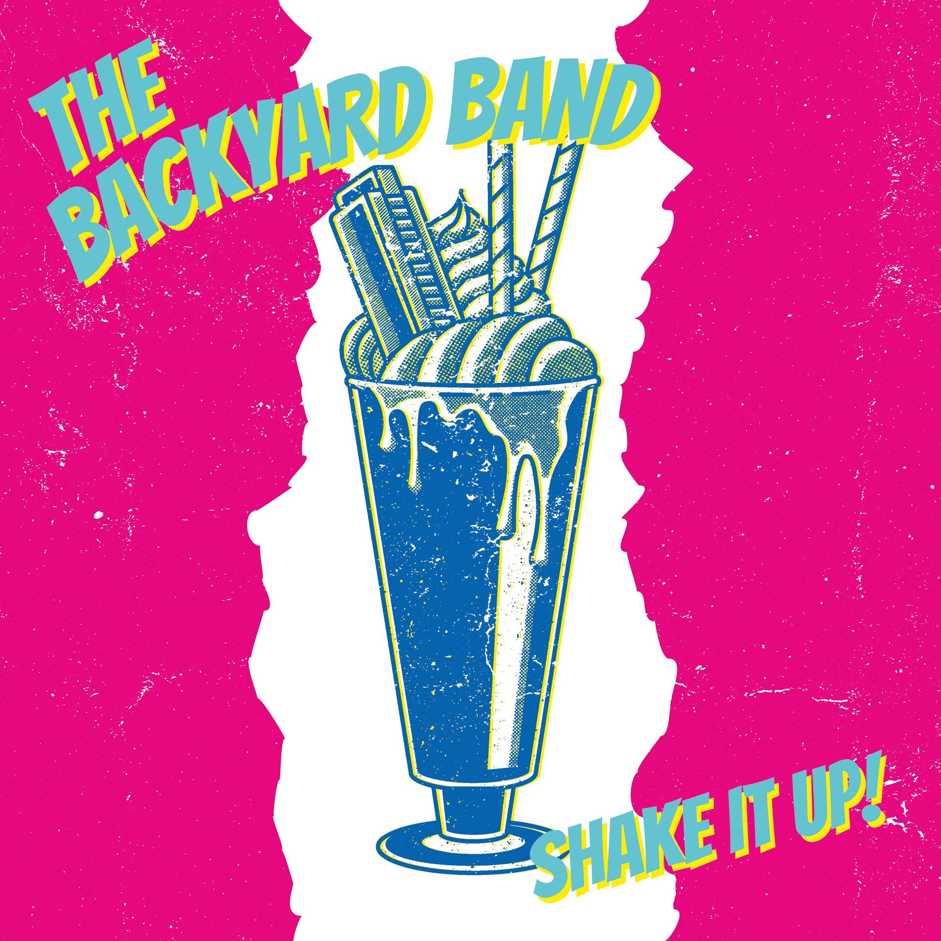 Album cover of Shake It Up