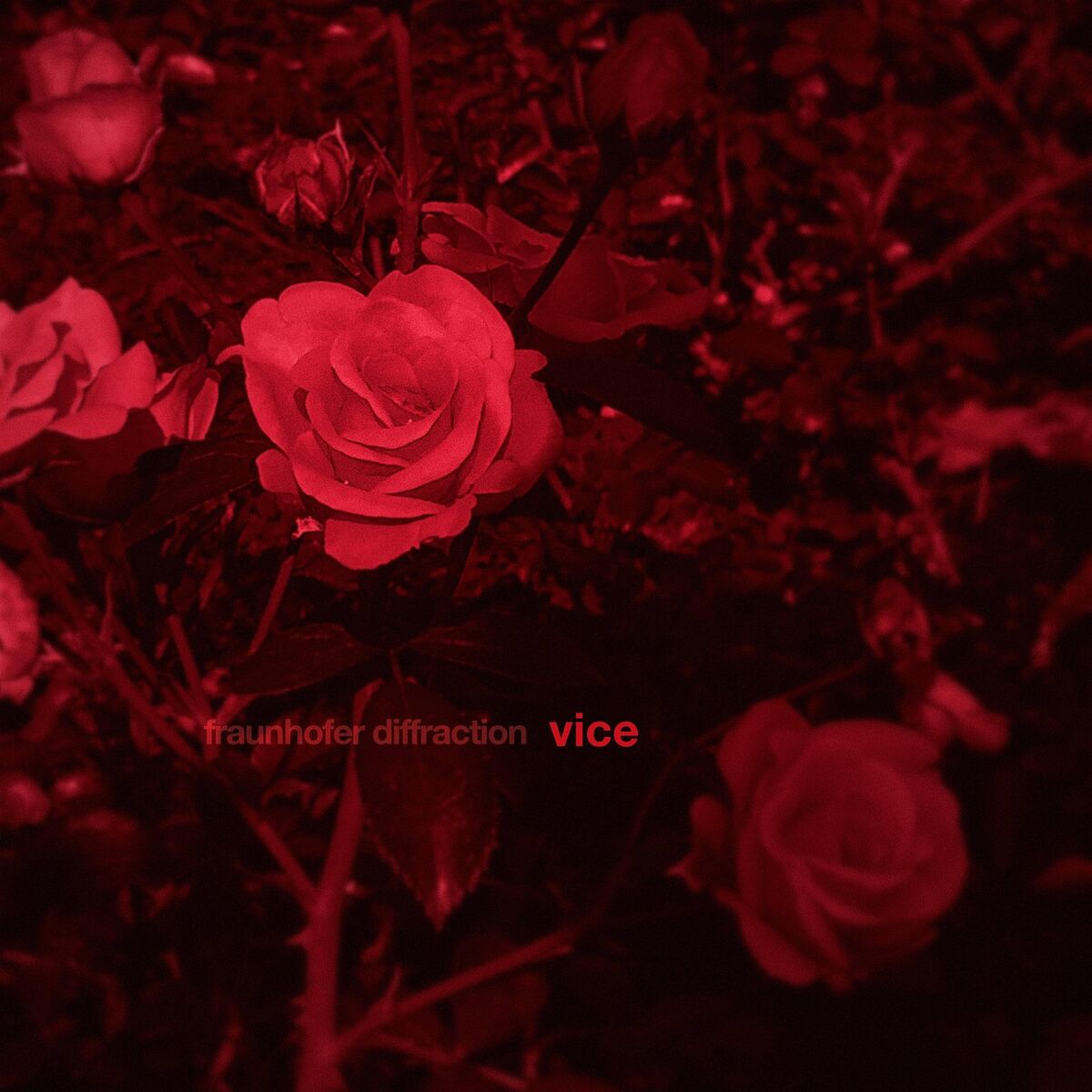 Album cover of Vice