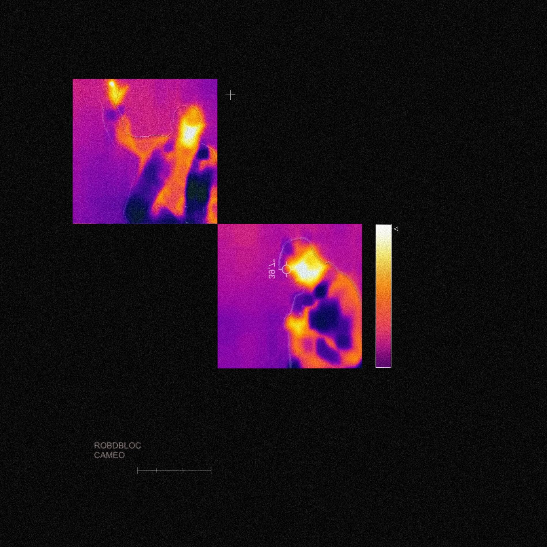 Album cover of Caméo