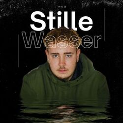 Cover of Stille Wasser