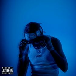 Cover of Now or Never