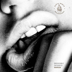 Cover of Bridgeable Distances
