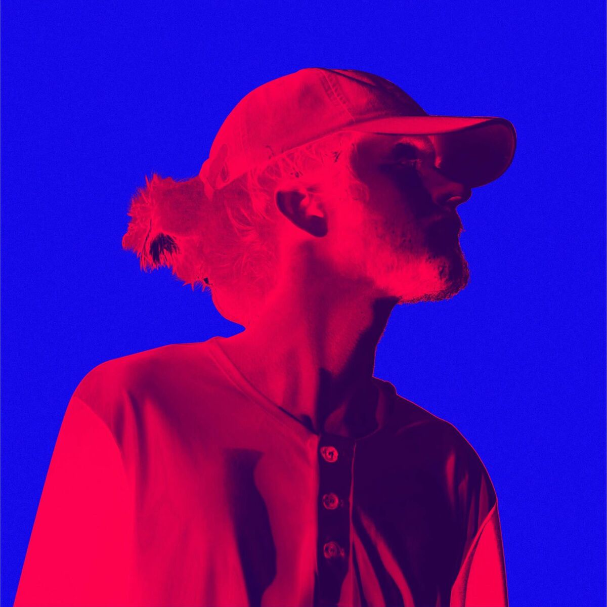 Album cover of The Prince