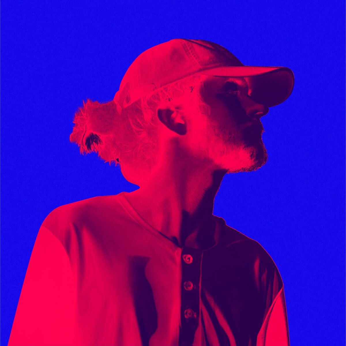 Album cover of The Prince