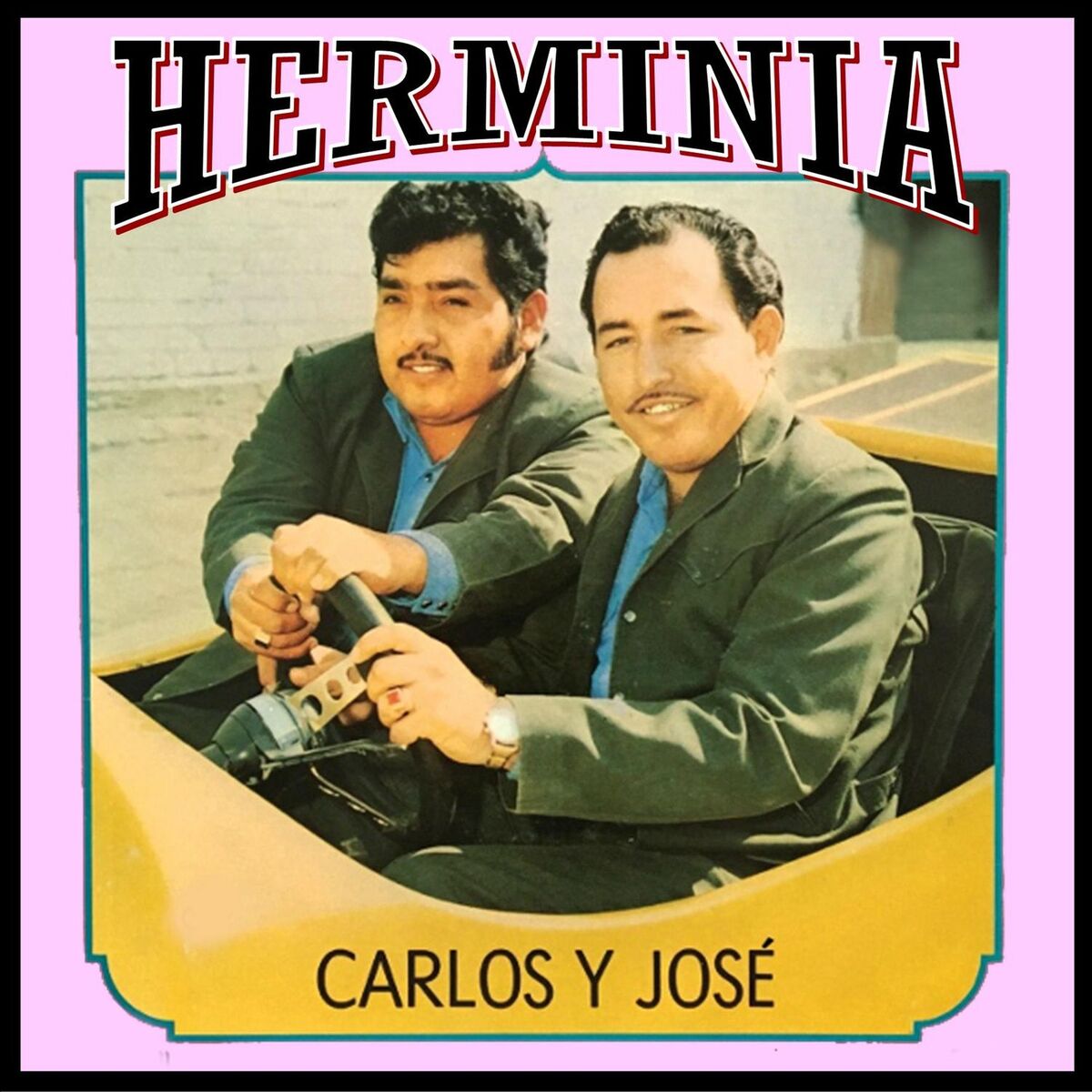 Album cover of Herminia