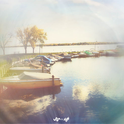 Shoreline