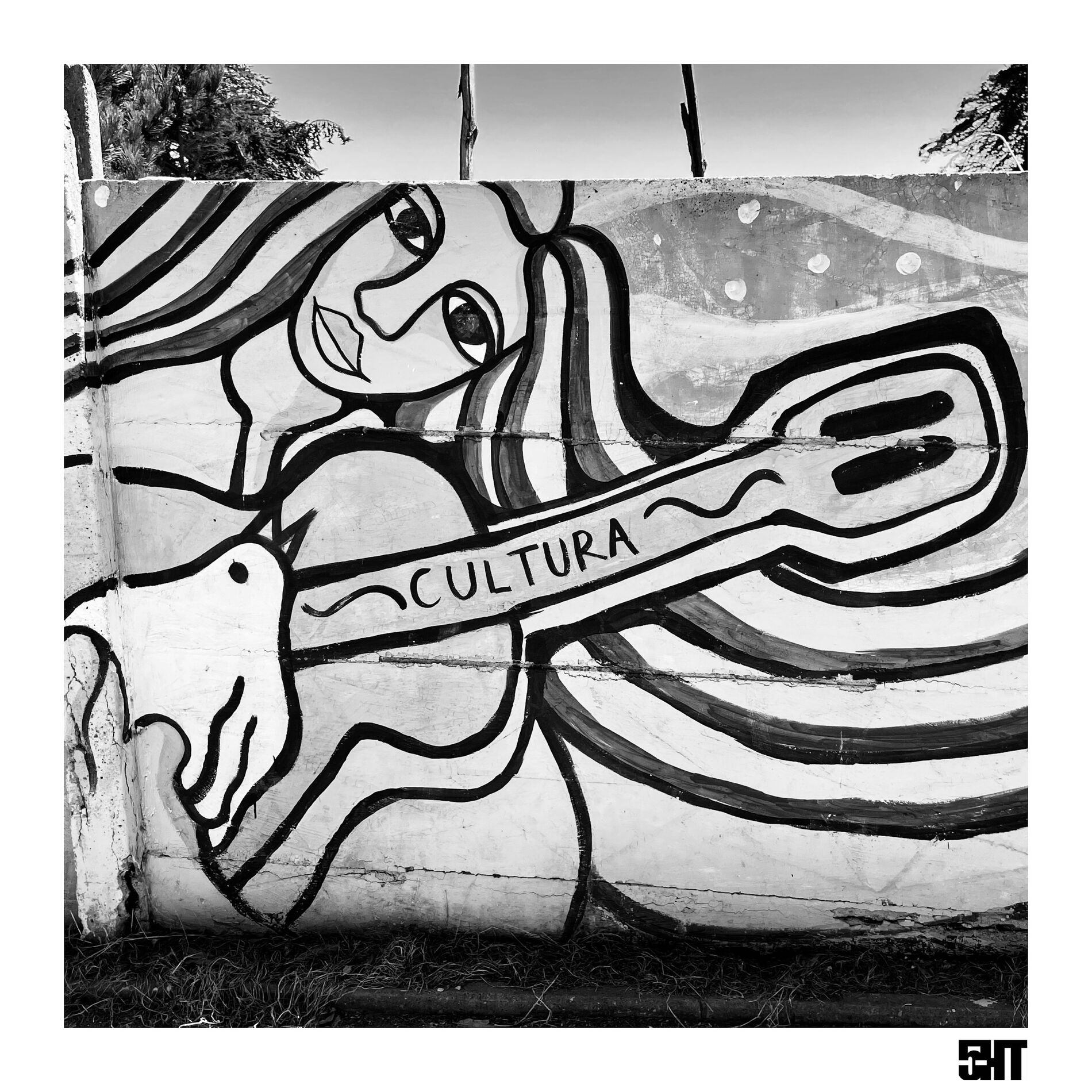 Album cover of la isla negra